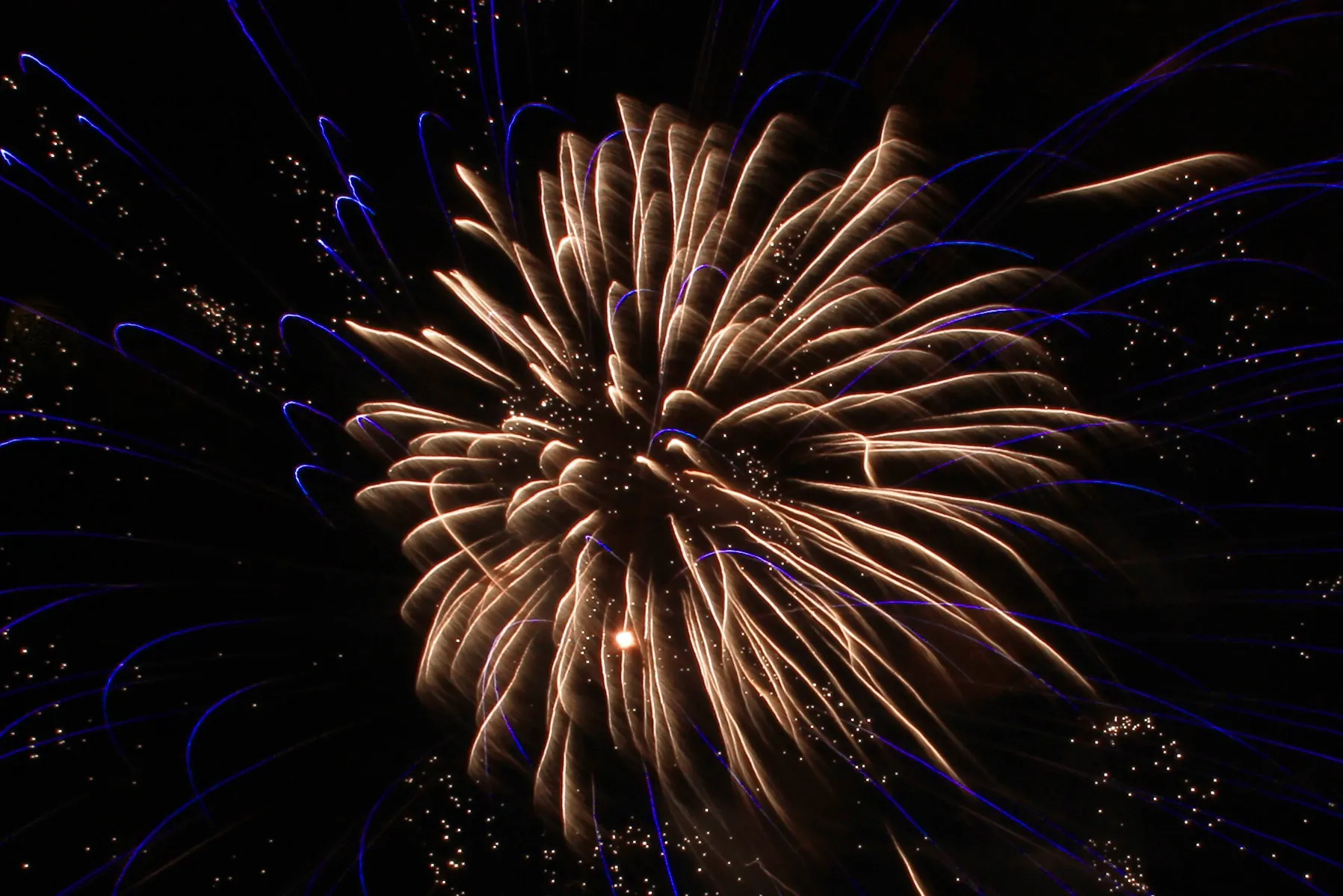Un feu d'artifice du jour de l'an à Dublin - Brian & Natalia Liston - cc