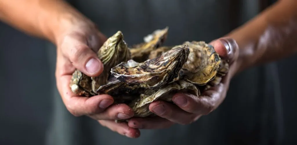 In Galway, the 2026 oyster festival dares to serve… oyster ice cream