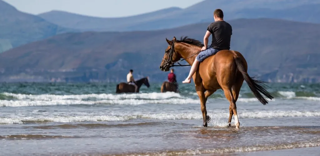 Horse riding