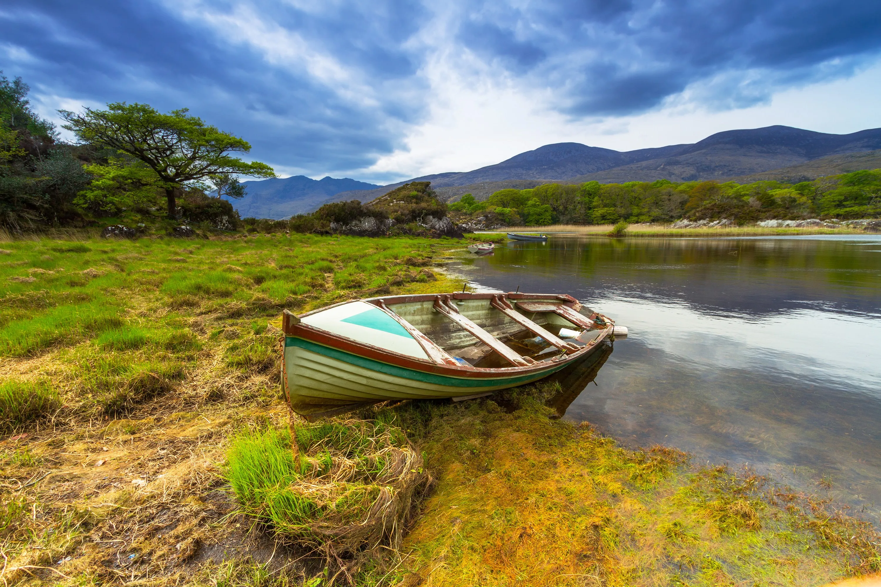 Average price for a fishing weekend in Ireland, all inclusive