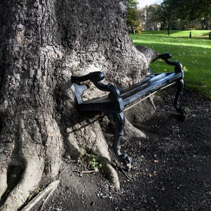 hungry tree