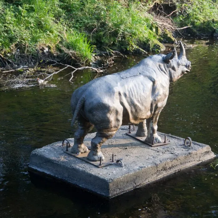 dodder rhino