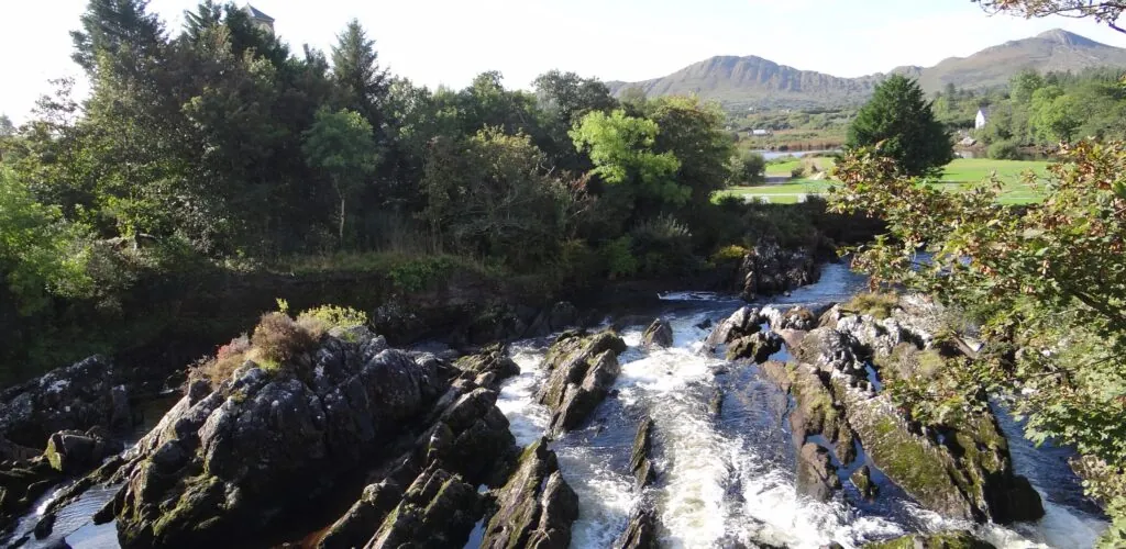 sneem