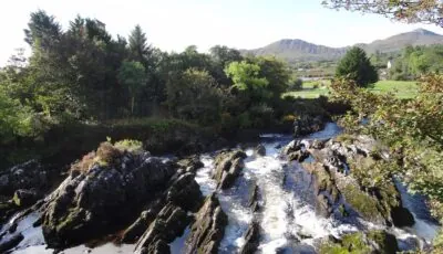 sneem
