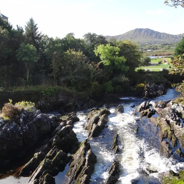 sneem