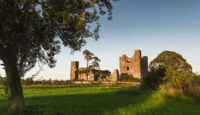 Bective abbey - © Rubende Antonio