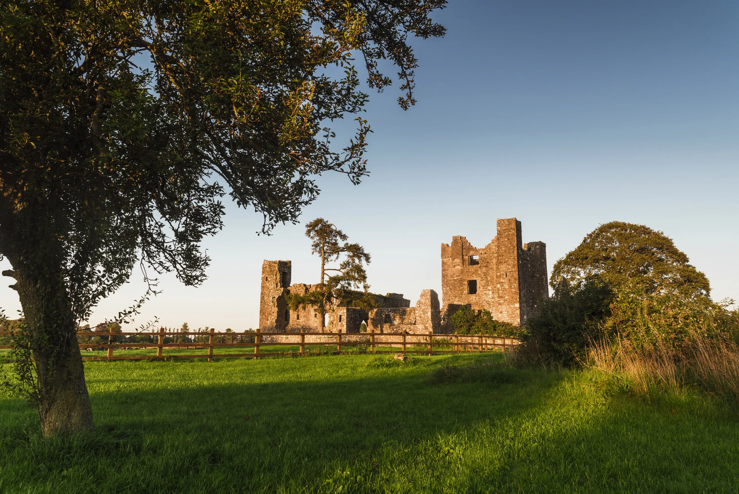 The Bective abbey