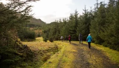 letterkeen loop trail head