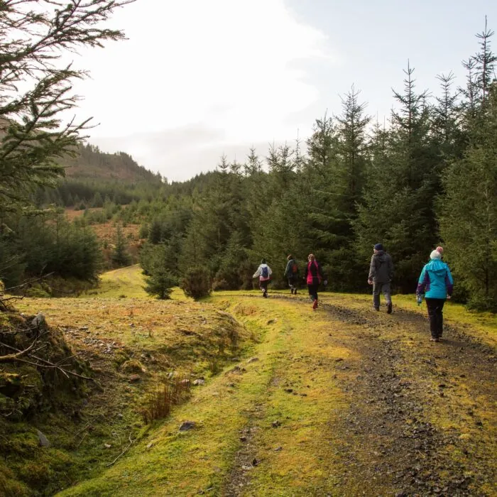 letterkeen loop trail head
