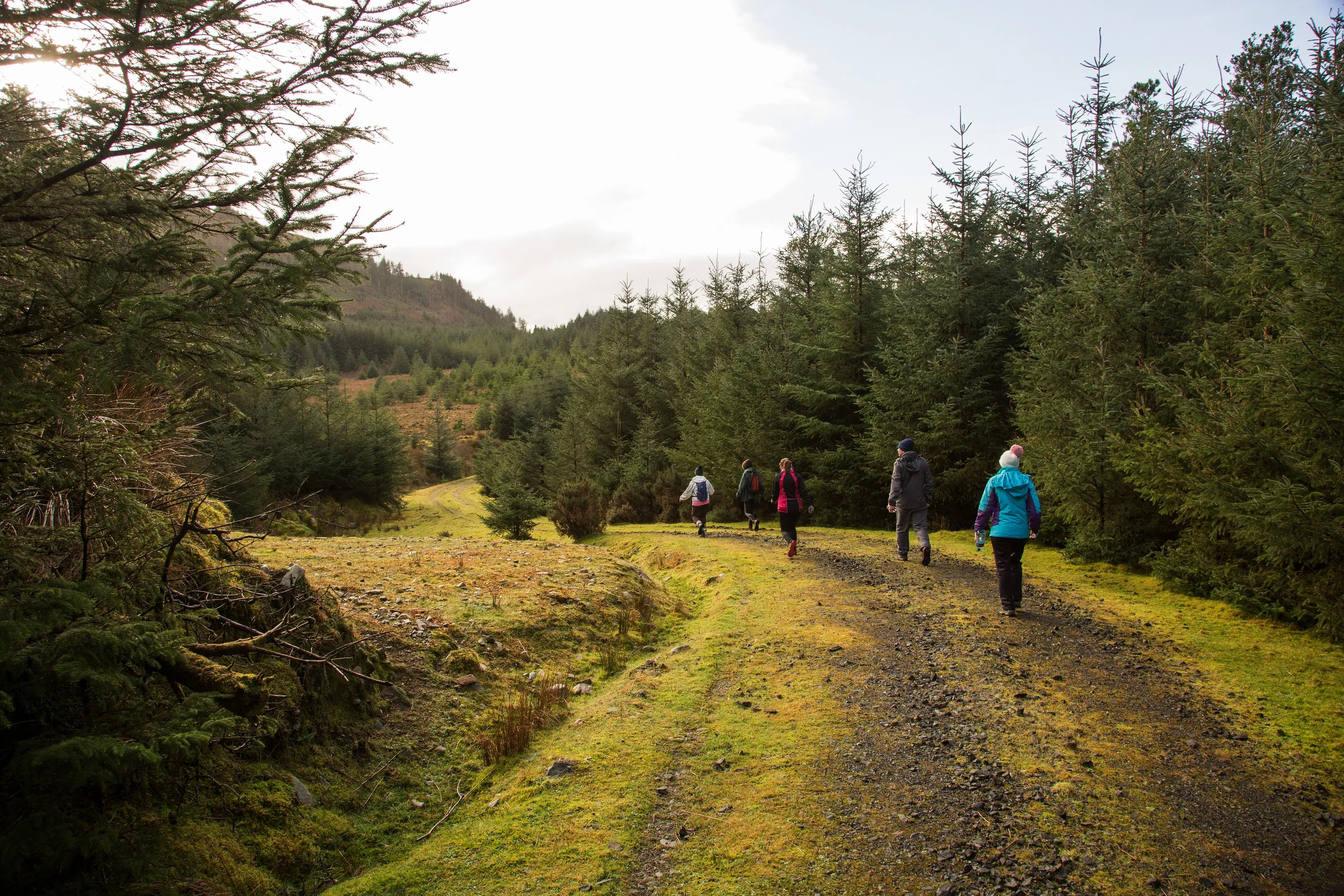 The Letterkeen Loop Trail Head