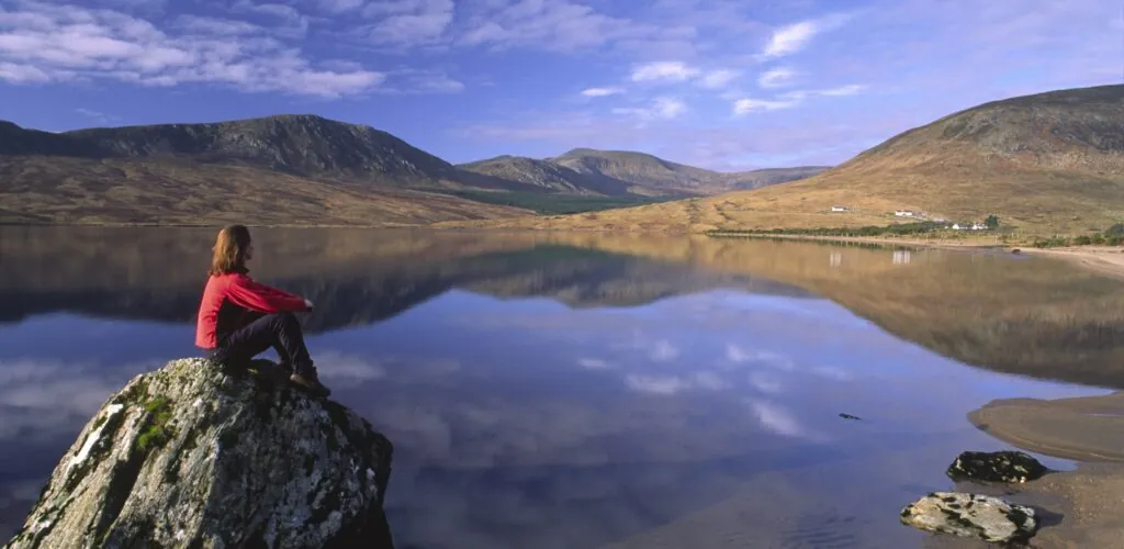 nephin beg