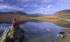 nephin beg