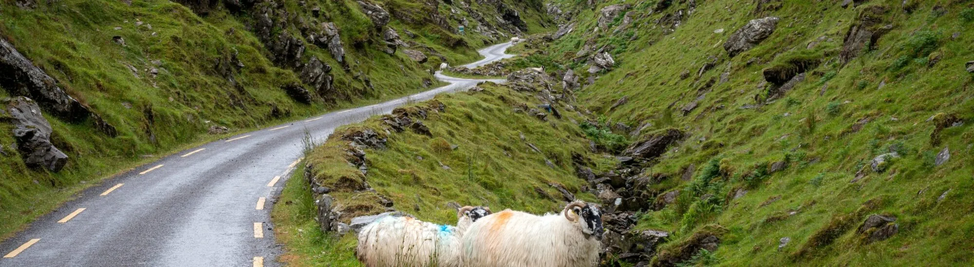Ballaghbeama Gap