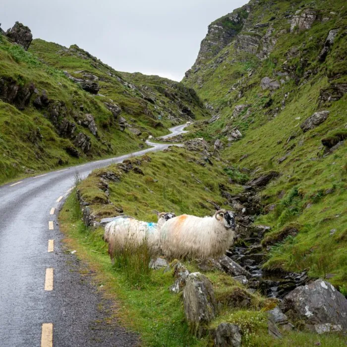 ballaghbeama gap