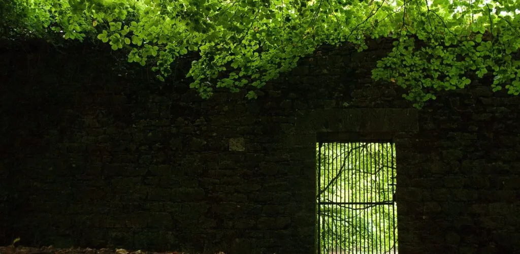 jenkinstown wood