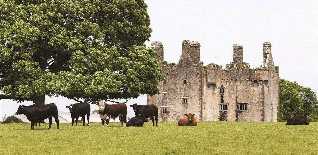A 16th-century Irish castle on sale for over 8 million euros!