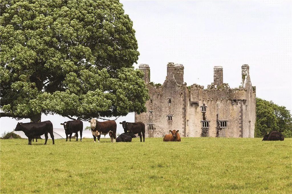 killaleigh castle