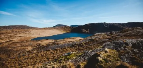 barley lake