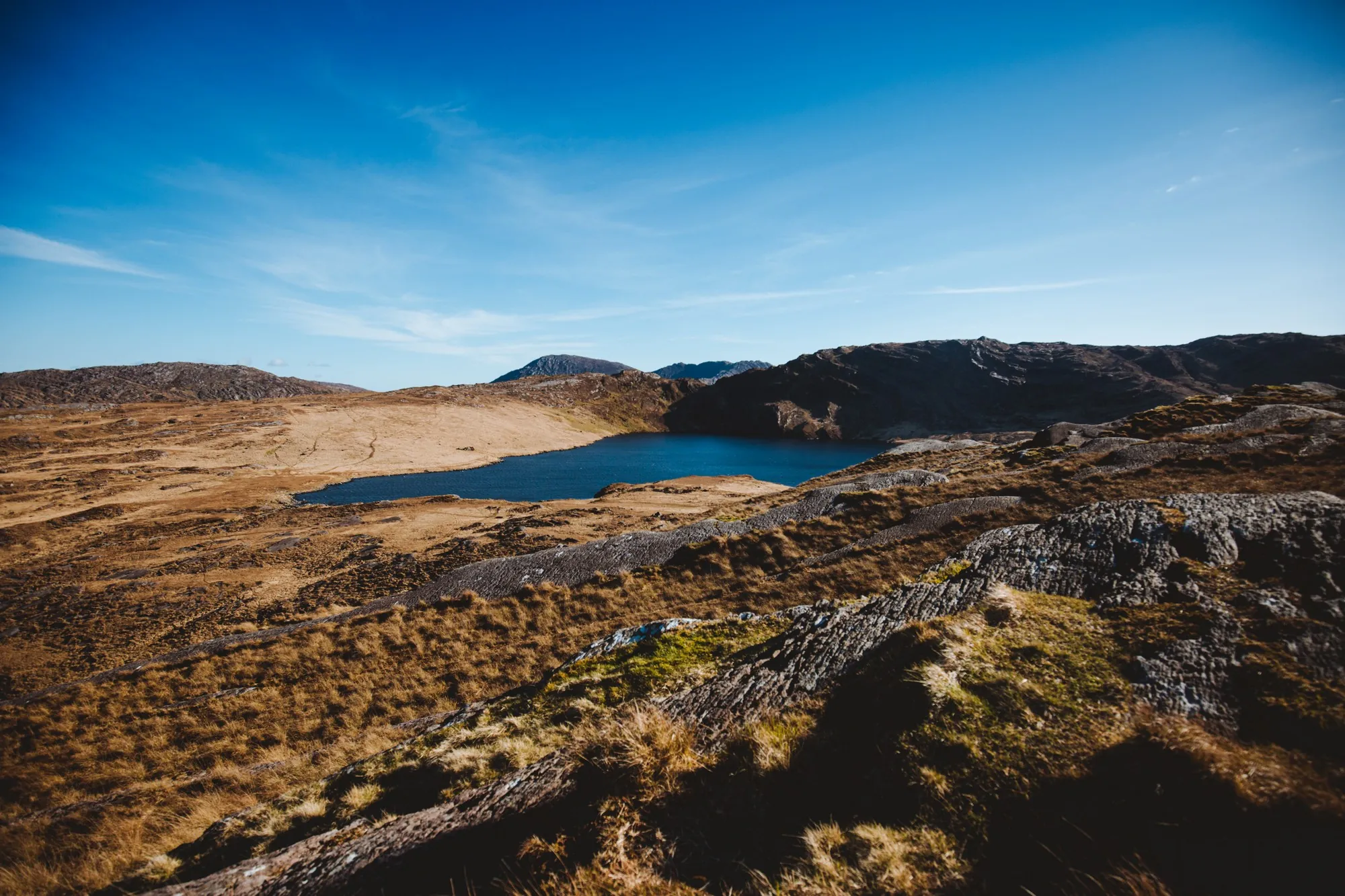 barley lake