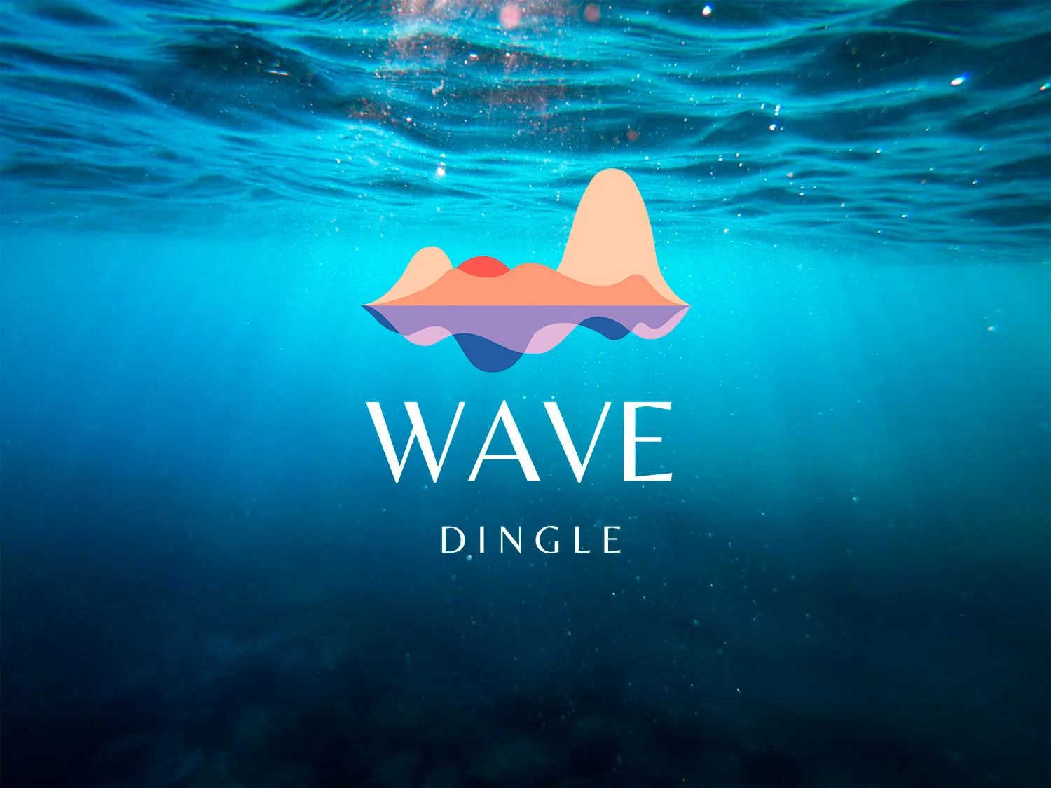 wave dingle