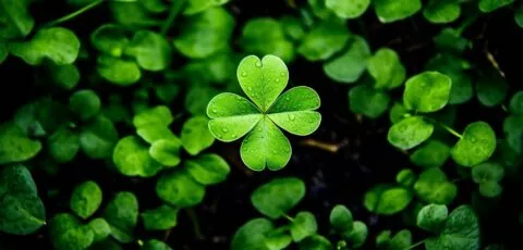 chance dun irlandais luck of the irish