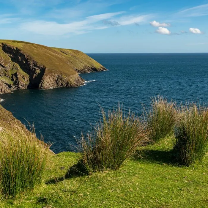 Erris Head Loop Head -  teddiviscious