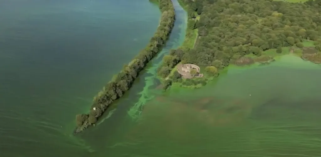 Climate shock: Lough Neagh, Ireland’s largest lake, at risk