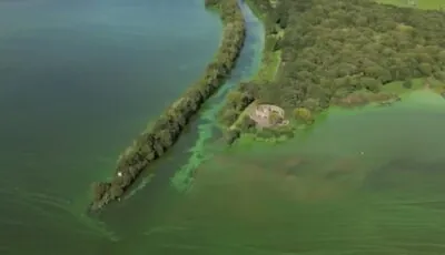 Le Lough Neagh, contaminé à l'algue bleue