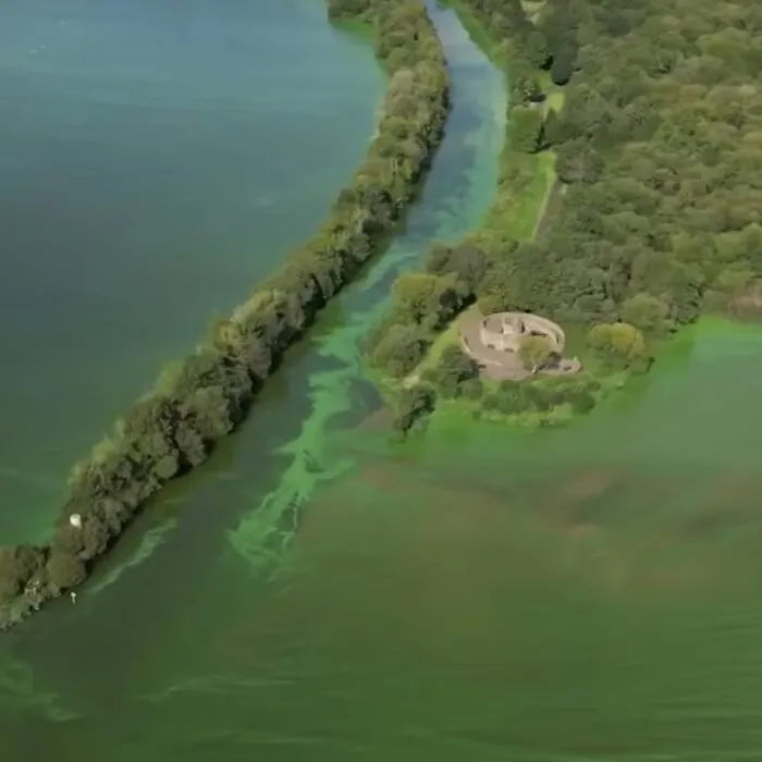 Le Lough Neagh, contaminé à l'algue bleue