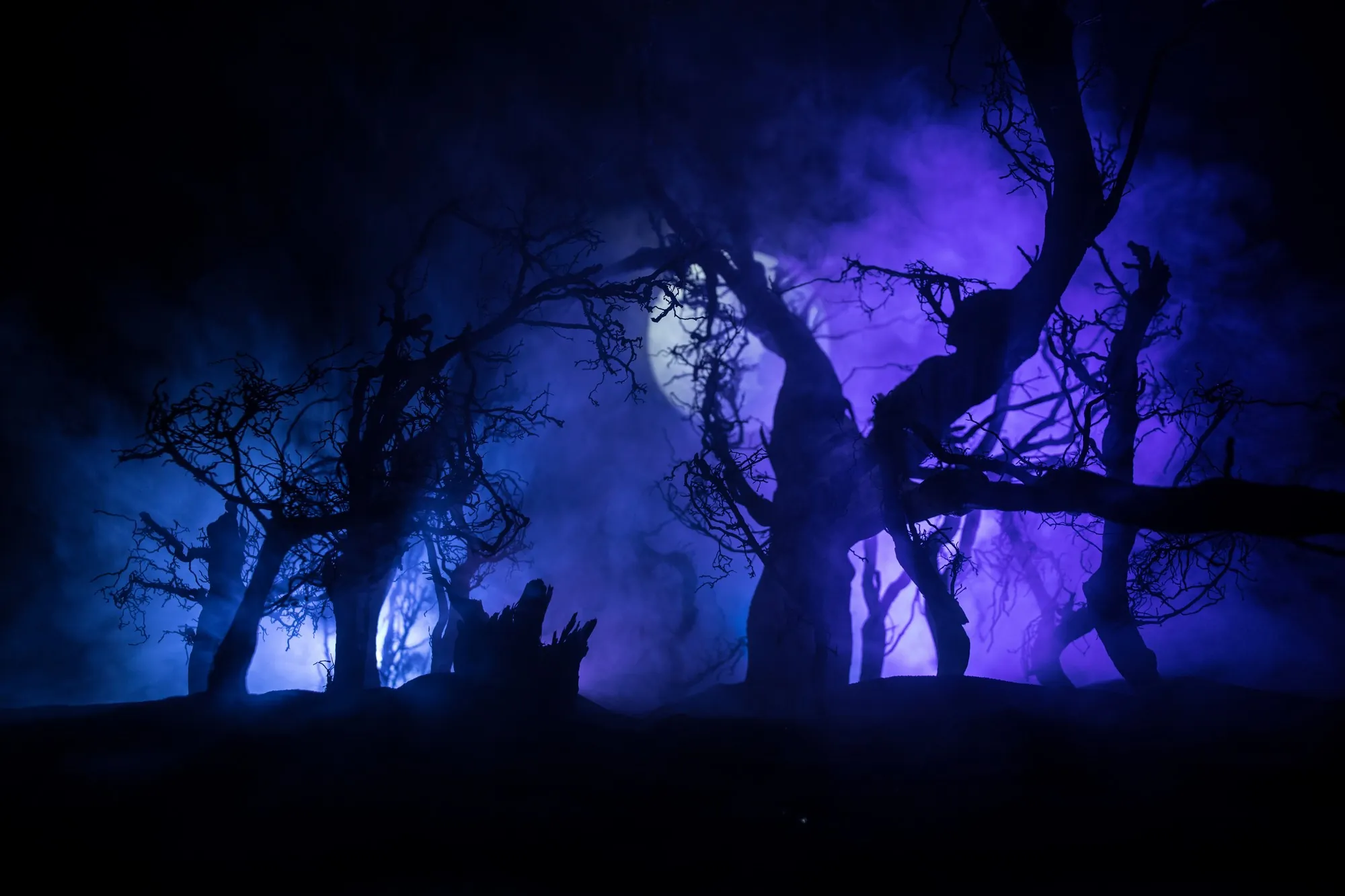 How do you pronounce the word Samhain? - zef art