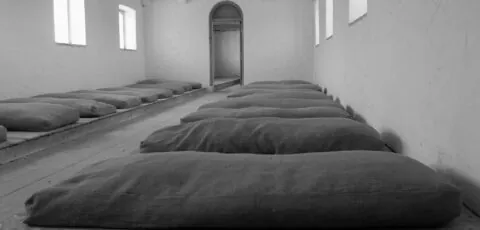 the irish workhouse centre