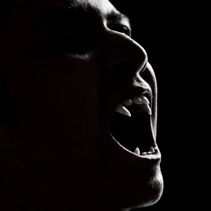 Dracula, de Bram Stoker -  fotokitas
