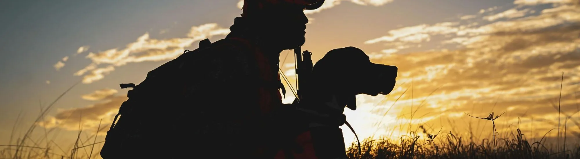 Hunting in Ireland