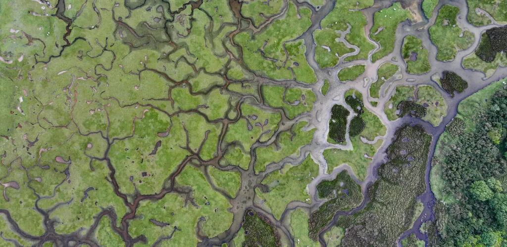 mulranny salt marsh