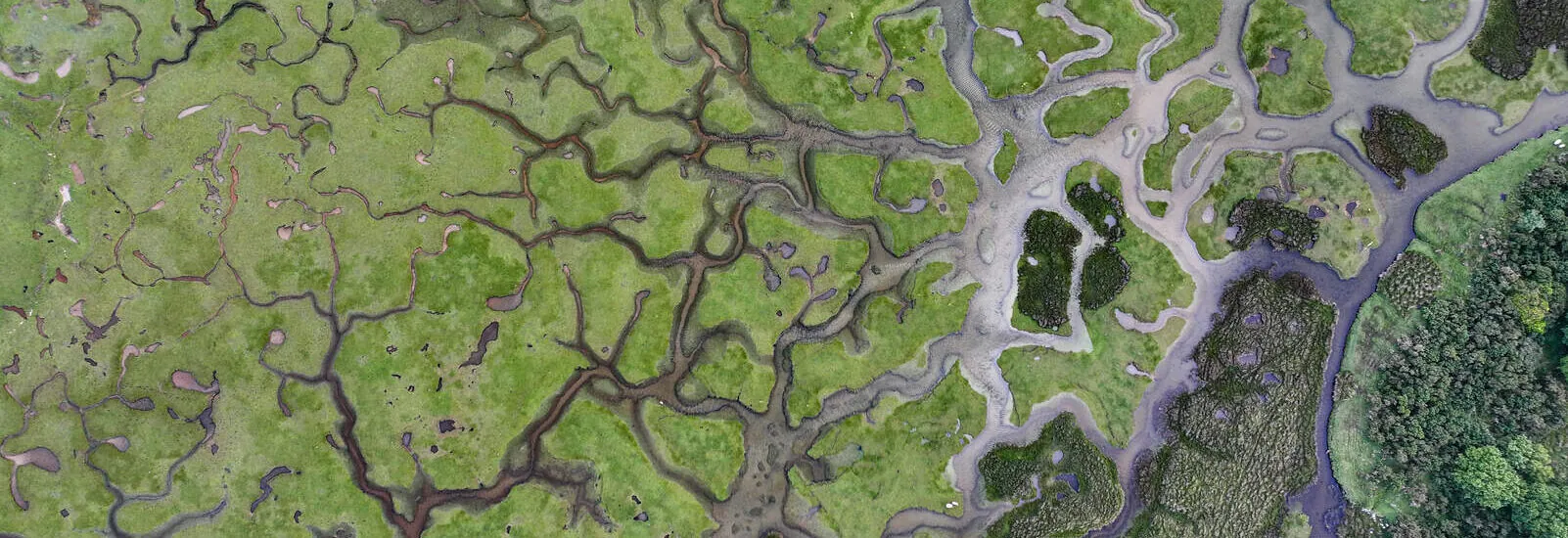 Mulranny Salt Marsh