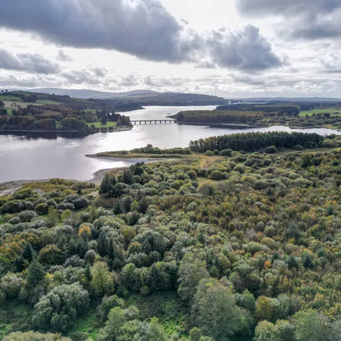 The Poulaphouca Reservoir - © Sonder Visual - Fáilte Ireland