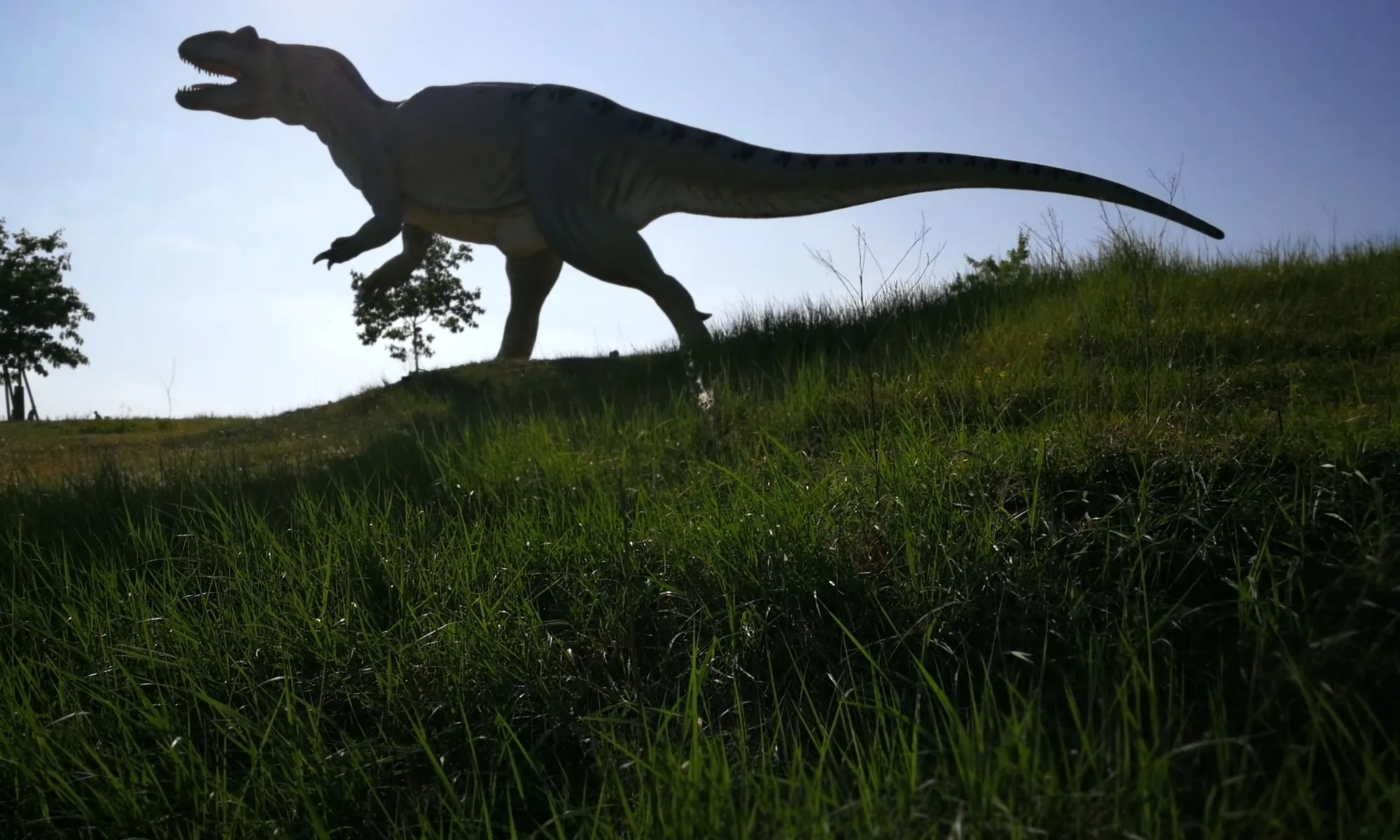 Un T-Rex - ralle1918 -pixabay