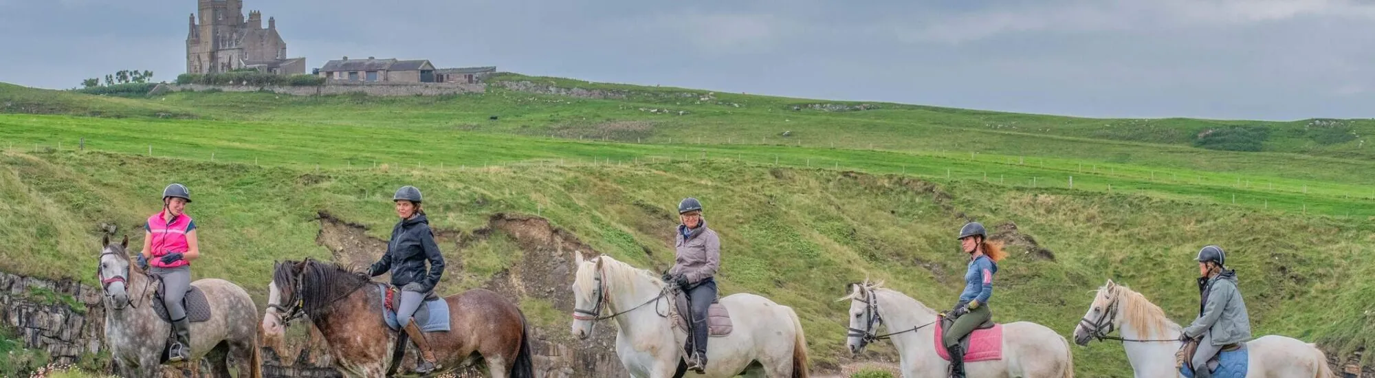 Find Stud Farms in Ireland for Horse Riding During Your Stay