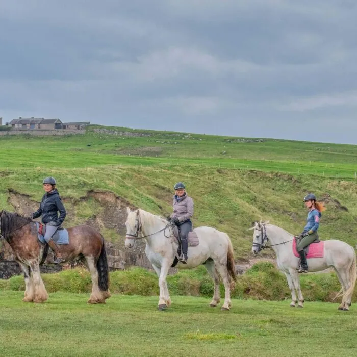 Des chevaux du Classiebewn equestriennes - © Tim H Murphy Photography