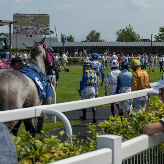 Racecourse in Ireland - Sonder Visual - ©Failte Ireland