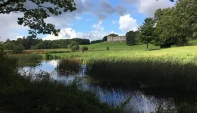 Curraghchase Cottage