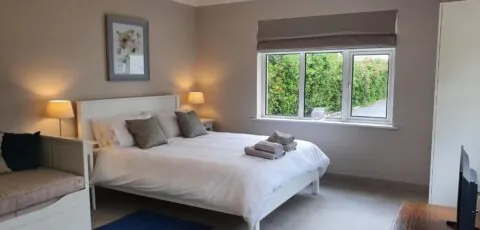 Five Ferns House