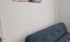 Inviting 1-Bed Apartment in Cork