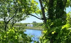 River Cottage, Clifden