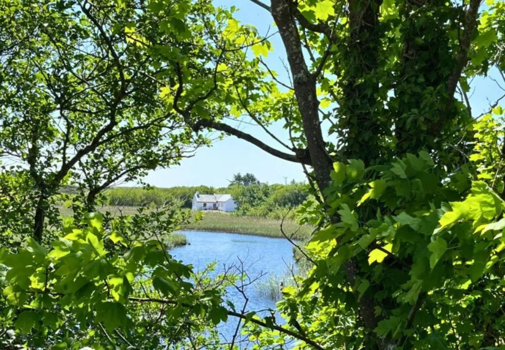 River Cottage