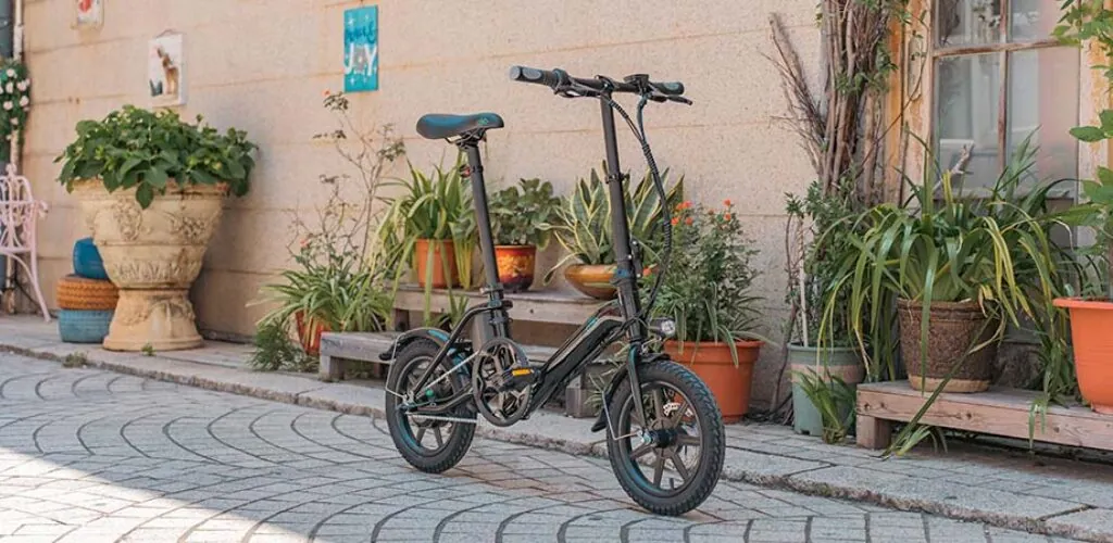 Explore Irish Weekend Markets on a Fiido Mini Electric Bike