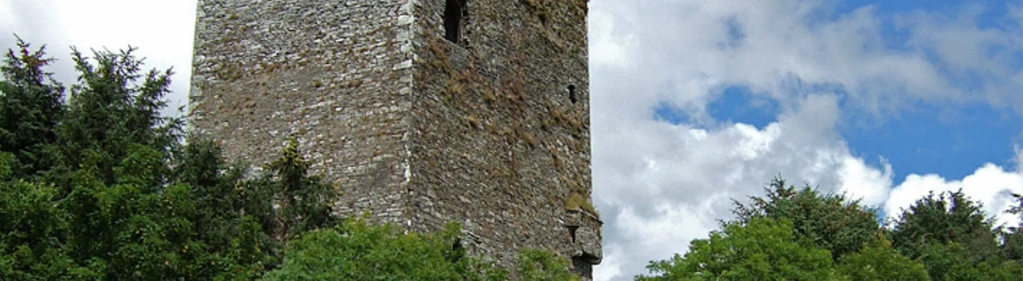 Ballinacarriga Castle