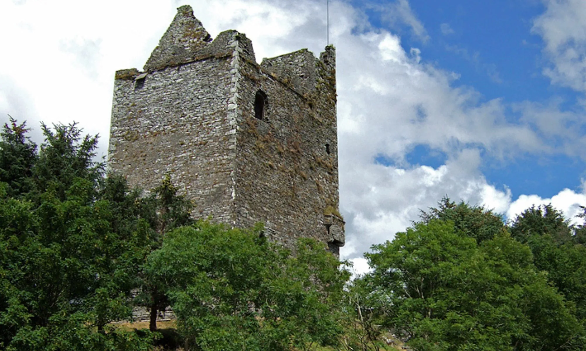 Ballinacarriga Castle - Mike Searle - cc