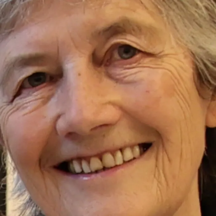 Catherine Connolly, new President of the Republic of Ireland - Houses of the Oireachtas