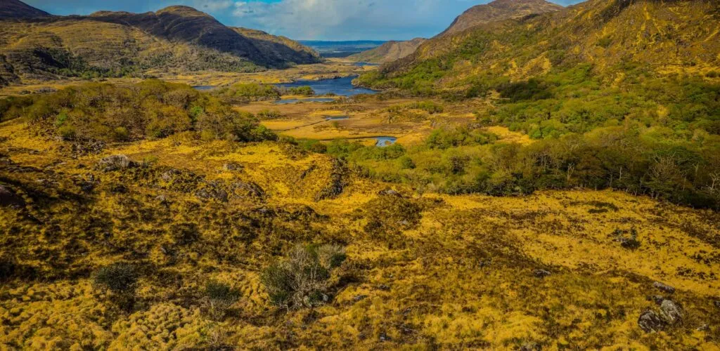 killarney nationam park pexels oleksandr kobuta 152146753 33323817